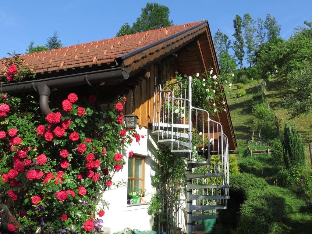 Hotel Haus Loidl Sankt Gallen Esterno foto